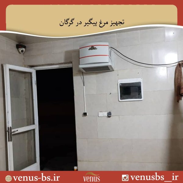مرغ پیگیر گرگان خشک کن بدن