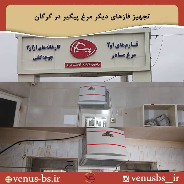 مرغ پیگیر گرگان خشک کن سقفی