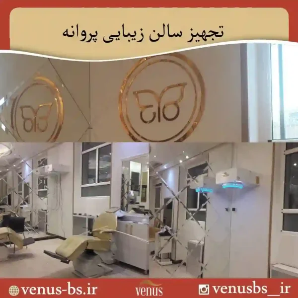 سالن زیبایی پروانه سشوار دیواری سالنی