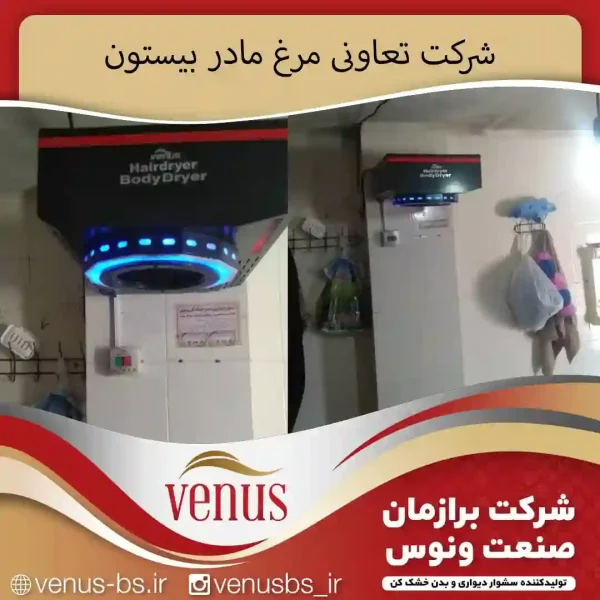 بیستون بدن خشک کن