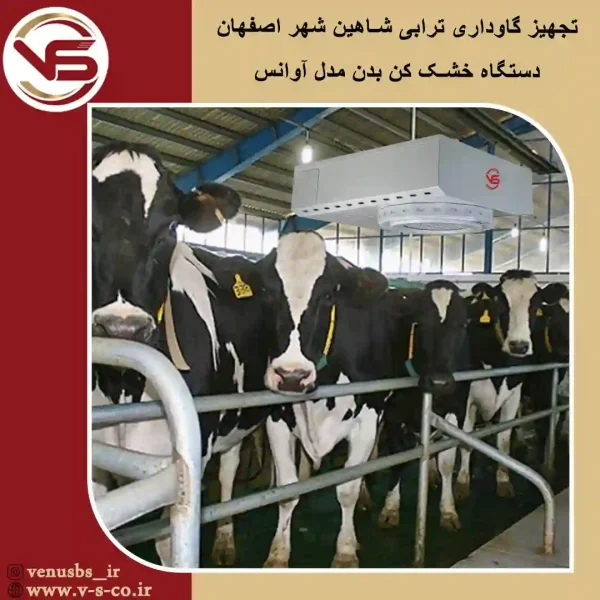 سشواردیواری
