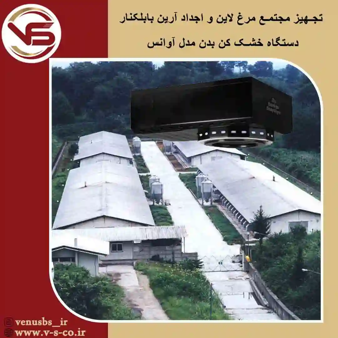 مرغ-لاین-2 خشک کن بدن
