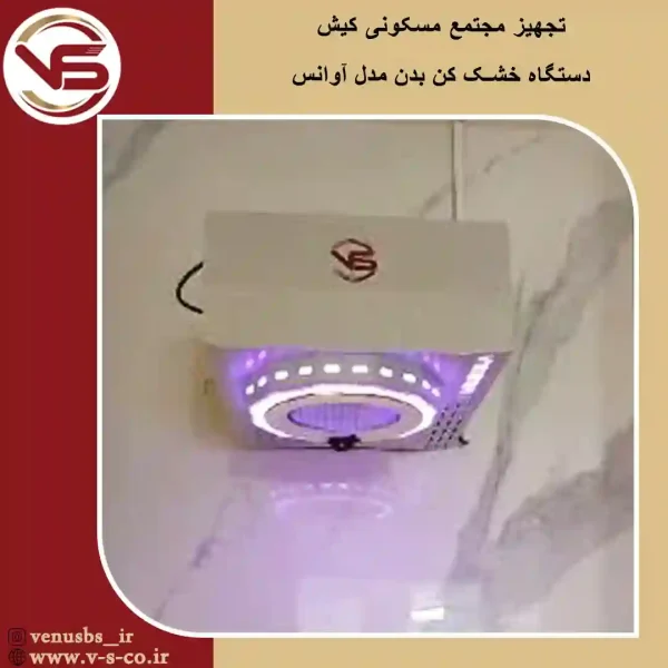 مجتمع مسگونی کیش
